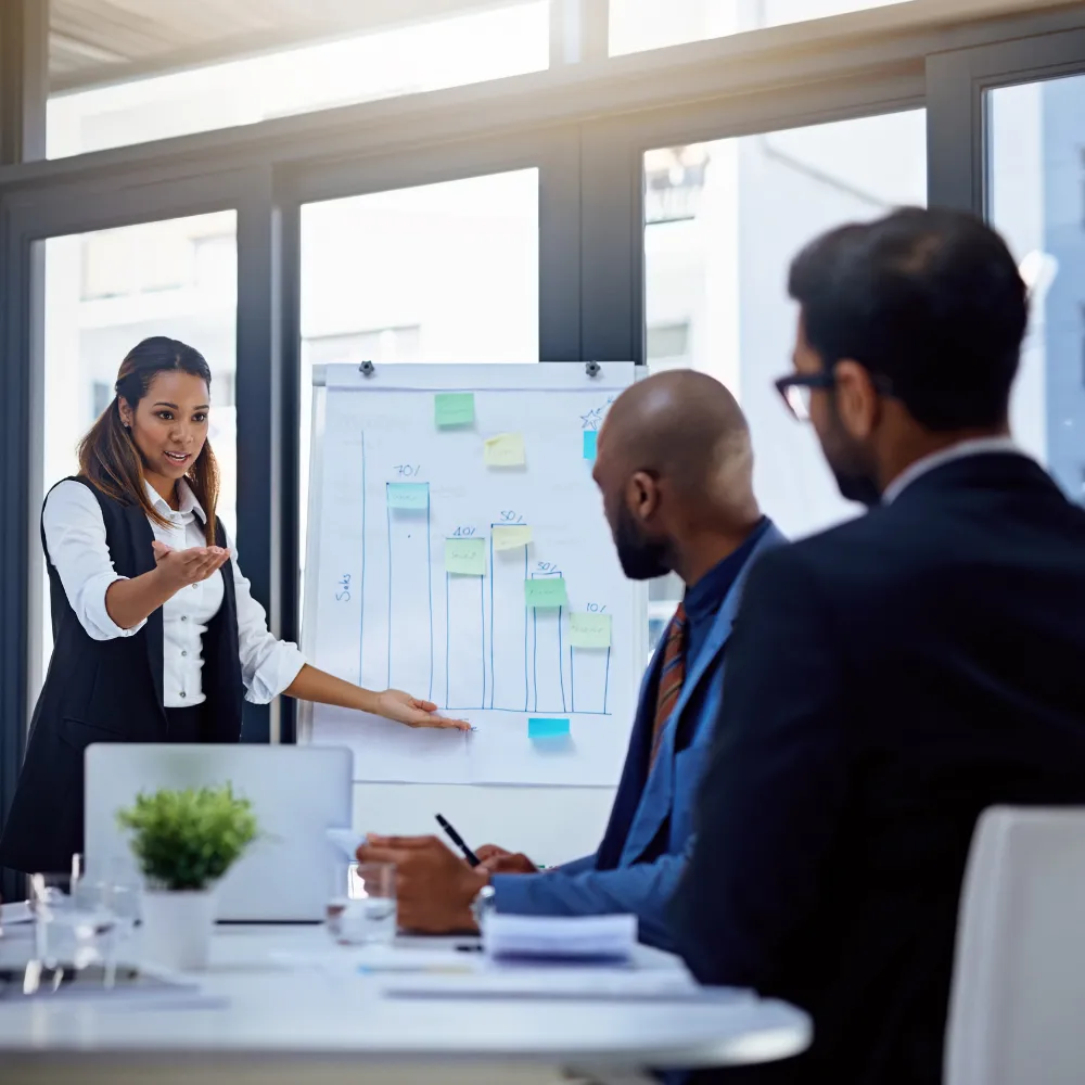 Consultoría de Negocio (Business Consulting)